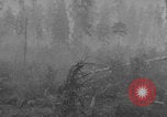 Standbild Sowjetische Brjansk Frontschlacht Zweiter Weltkrieg Sowjetunion, 1943, aus Sekunde 58 historischem Filmmaterial Videoclip 65675079153