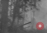 Standbild Sowjetische Brjansk Frontschlacht Zweiter Weltkrieg Sowjetunion, 1943, aus Sekunde 62 historischem Filmmaterial Videoclip 65675079153