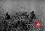 Image of Bryansk street fighting WW2 Soviet Union, 1943, second 27 stock footage video 65675079154