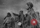 Image of Bryansk street fighting WW2 Soviet Union, 1943, second 31 stock footage video 65675079154