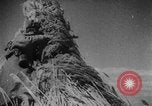 Image of Bryansk street fighting WW2 Soviet Union, 1943, second 33 stock footage video 65675079154