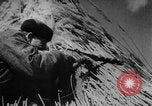 Image of Bryansk street fighting WW2 Soviet Union, 1943, second 34 stock footage video 65675079154