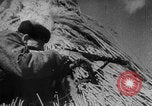 Image of Bryansk street fighting WW2 Soviet Union, 1943, second 35 stock footage video 65675079154