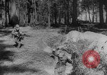 Image of German soldiers captured Bryansk Soviet Union, 1943, second 3 stock footage video 65675079155