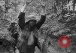 Image of German soldiers captured Bryansk Soviet Union, 1943, second 12 stock footage video 65675079155