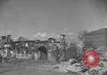Image of Soviet victims civilians mass graves Bryansk Bryansk Russia Soviet Union, 1943, second 11 stock footage video 65675079156