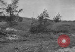 Image of Soviet victims civilians mass graves Bryansk Bryansk Russia Soviet Union, 1943, second 36 stock footage video 65675079156