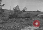 Image of Soviet victims civilians mass graves Bryansk Bryansk Russia Soviet Union, 1943, second 37 stock footage video 65675079156