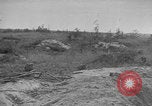 Image of Soviet victims civilians mass graves Bryansk Bryansk Russia Soviet Union, 1943, second 40 stock footage video 65675079156
