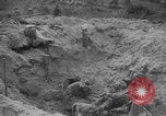 Image of Soviet victims civilians mass graves Bryansk Bryansk Russia Soviet Union, 1943, second 44 stock footage video 65675079156