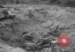 Image of Soviet victims civilians mass graves Bryansk Bryansk Russia Soviet Union, 1943, second 45 stock footage video 65675079156