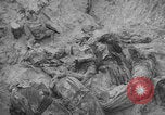 Image of Soviet victims civilians mass graves Bryansk Bryansk Russia Soviet Union, 1943, second 49 stock footage video 65675079156