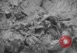 Image of Soviet victims civilians mass graves Bryansk Bryansk Russia Soviet Union, 1943, second 50 stock footage video 65675079156