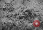 Image of Soviet victims civilians mass graves Bryansk Bryansk Russia Soviet Union, 1943, second 51 stock footage video 65675079156