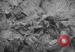 Image of Soviet victims civilians mass graves Bryansk Bryansk Russia Soviet Union, 1943, second 52 stock footage video 65675079156