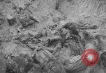 Image of Soviet victims civilians mass graves Bryansk Bryansk Russia Soviet Union, 1943, second 53 stock footage video 65675079156