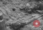 Image of Soviet victims civilians mass graves Bryansk Bryansk Russia Soviet Union, 1943, second 54 stock footage video 65675079156