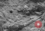 Image of Soviet victims civilians mass graves Bryansk Bryansk Russia Soviet Union, 1943, second 55 stock footage video 65675079156