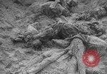 Image of Soviet victims civilians mass graves Bryansk Bryansk Russia Soviet Union, 1943, second 58 stock footage video 65675079156