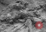 Image of Soviet victims civilians mass graves Bryansk Bryansk Russia Soviet Union, 1943, second 59 stock footage video 65675079156