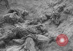 Image of Soviet victims civilians mass graves Bryansk Bryansk Russia Soviet Union, 1943, second 61 stock footage video 65675079156