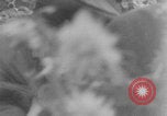 Image of Bryansk Soviet liberation celebration WW2 Bryansk Russia Soviet Union, 1943, second 20 stock footage video 65675079157