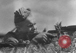 Image of Soviets defend ruined cities take German prisoners Soviet Union, 1943, second 11 stock footage video 65675079160