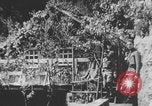 Image of Marshal Tito Josip Broz Yugoslavia, 1944, second 38 stock footage video 65675079161