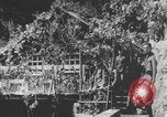 Image of Marshal Tito Josip Broz Yugoslavia, 1944, second 39 stock footage video 65675079161