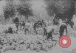 Image of Paris defense proclamation WWI Paris France, 1914, second 13 stock footage video 65675079169