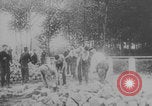 Image of Paris defense proclamation WWI Paris France, 1914, second 17 stock footage video 65675079169