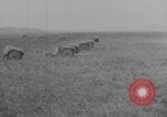 Image les soldats font la démonstration de chars de super-réducteur France, 1914, de la seconde 36 séquences d'archives historiques vidéo 65675079173