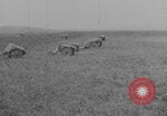 Image les soldats font la démonstration de chars de super-réducteur France, 1914, de la seconde 37 séquences d'archives historiques vidéo 65675079173