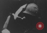 Image of dead and wounded Battle of Verdun Verdun France, 1916, second 4 stock footage video 65675079175