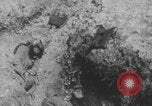Image of dead and wounded Battle of Verdun Verdun France, 1916, second 7 stock footage video 65675079175