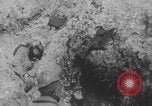 Image of dead and wounded Battle of Verdun Verdun France, 1916, second 8 stock footage video 65675079175