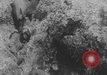 Image of dead and wounded Battle of Verdun Verdun France, 1916, second 13 stock footage video 65675079175