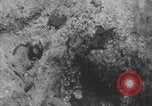 Image of dead and wounded Battle of Verdun Verdun France, 1916, second 14 stock footage video 65675079175