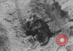 Image of dead and wounded Battle of Verdun Verdun France, 1916, second 20 stock footage video 65675079175