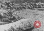Image of dead and wounded Battle of Verdun Verdun France, 1916, second 52 stock footage video 65675079175