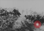 Image of German forces charge Paris WWI Paris France, 1914, second 61 stock footage video 65675079183