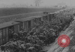 Image of Kaiser Wilhelm II meets officers WWI Germany, 1914, second 10 stock footage video 65675079186