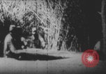 Image Les soldats français portent des corps Europe, 1915, de la seconde 4 séquences d'archives historiques vidéo 65675079200