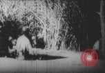 Image Les soldats français portent des corps Europe, 1915, de la seconde 5 séquences d'archives historiques vidéo 65675079200