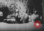 Image Les soldats français portent des corps Europe, 1915, de la seconde 10 séquences d'archives historiques vidéo 65675079200