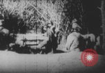 Image Les soldats français portent des corps Europe, 1915, de la seconde 11 séquences d'archives historiques vidéo 65675079200