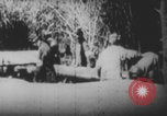 Image Les soldats français portent des corps Europe, 1915, de la seconde 12 séquences d'archives historiques vidéo 65675079200