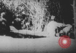 Image Les soldats français portent des corps Europe, 1915, de la seconde 13 séquences d'archives historiques vidéo 65675079200