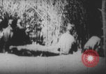 Image Les soldats français portent des corps Europe, 1915, de la seconde 15 séquences d'archives historiques vidéo 65675079200