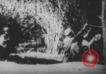 Image Les soldats français portent des corps Europe, 1915, de la seconde 22 séquences d'archives historiques vidéo 65675079200